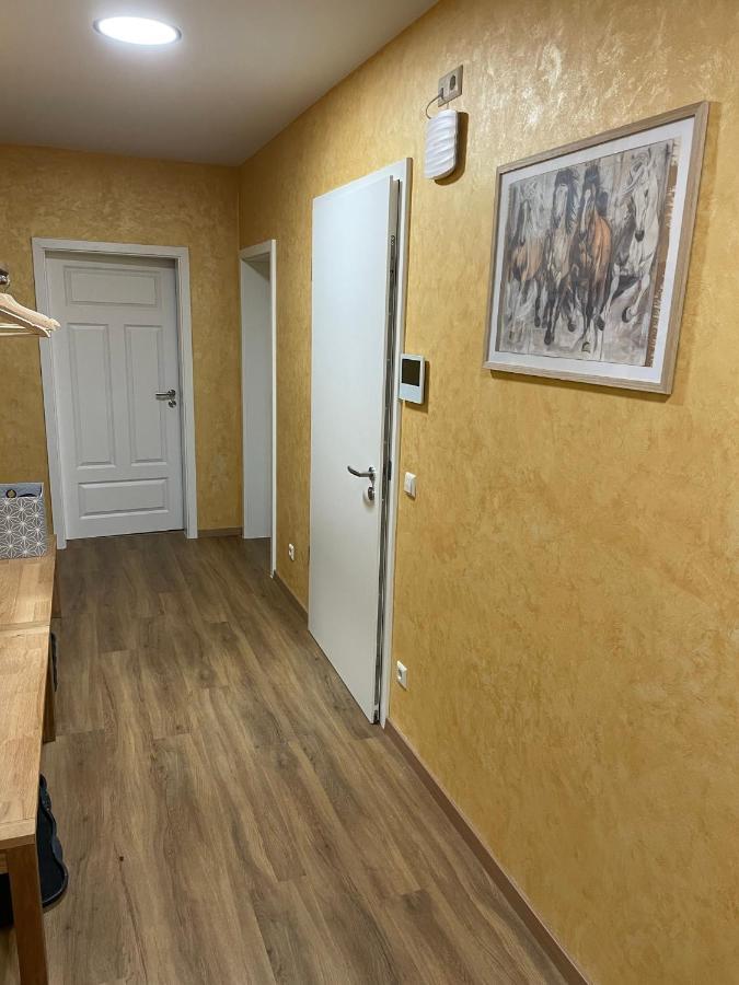 Apartment-Haus Landeskrone Dresden Eksteriør billede
