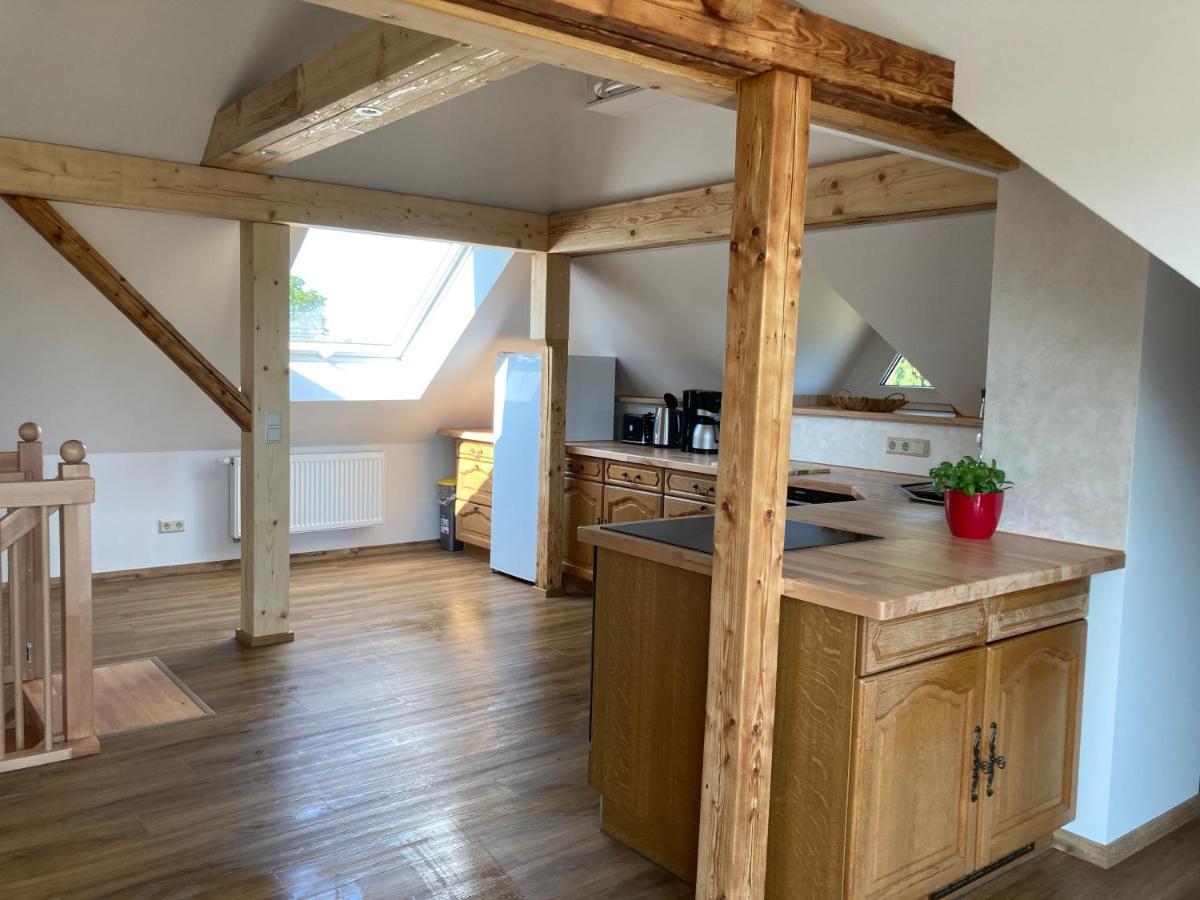 Apartment-Haus Landeskrone Dresden Eksteriør billede